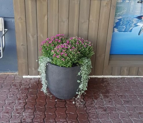 Krukke med blomster